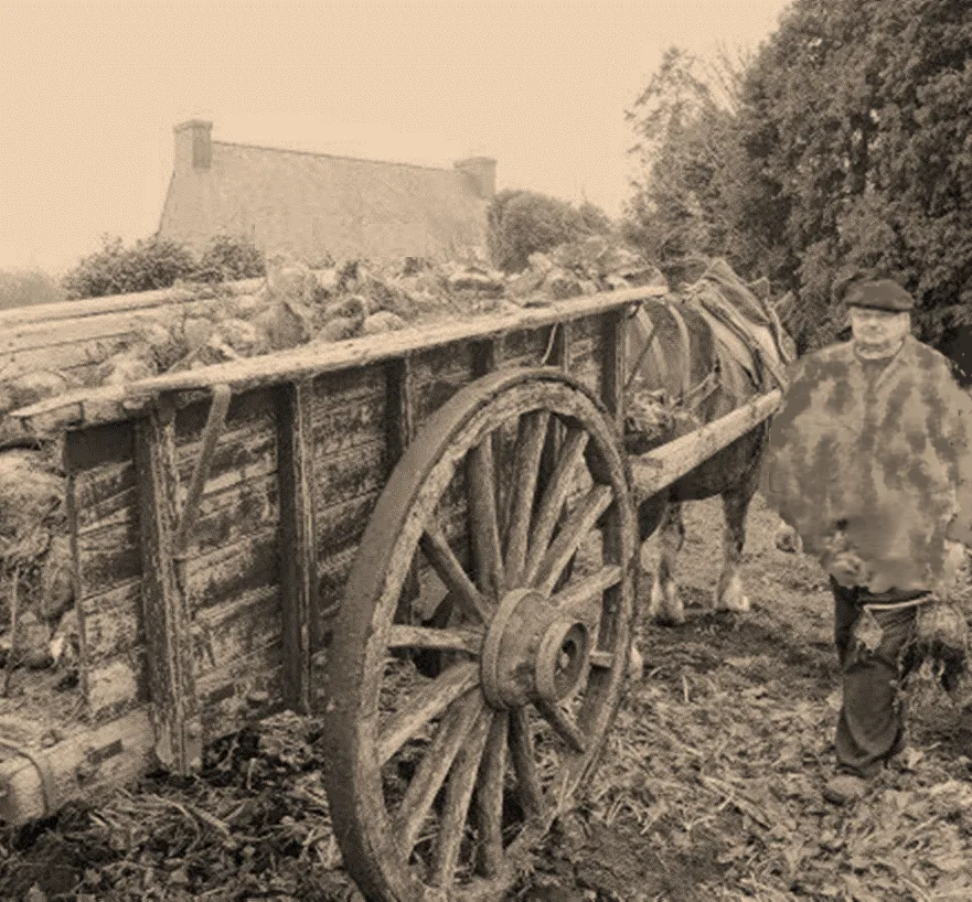 Un homme et sa charrette à cheval chargée de légumes, dans un chemin de campagne